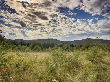 Bulutlu havada Karpat Dağları 'nın manzarası. Yaz mevsiminde hava çok güzel.