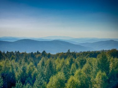 Güneşli havada Karpat Dağları 'nın manzarası. Yaz mevsiminde hava çok güzel.