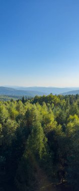 Güneşli havada Karpat Dağları 'nın manzarası. Yaz mevsiminde hava çok güzel.