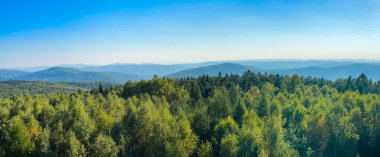 Güneşli havada Karpat Dağları 'nın manzarası. Yaz mevsiminde hava çok güzel.
