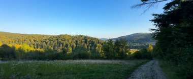 Güneşli havada Karpat Dağları 'nın manzarası. Yaz mevsiminde hava çok güzel.