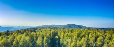 Güneşli havada Karpat Dağları 'nın manzarası. Yaz mevsiminde hava çok güzel.