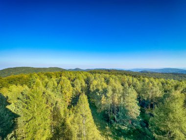 Güneşli havada Karpat Dağları 'nın manzarası. Yaz mevsiminde hava çok güzel.