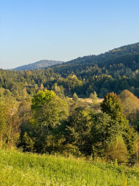 Güneşli havada Karpat Dağları 'nın manzarası. Yaz mevsiminde hava çok güzel.