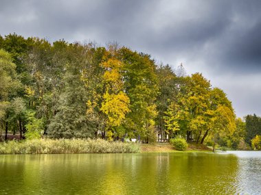 Serene Balıkçı Gölü: Gözlerden uzak bir gölün sakin sularında sakin bir manzara. Etrafı yemyeşil ve bulutlu bir gökyüzü ile çevrili bu resim, mükemmel bir günün özünü yakalar. 