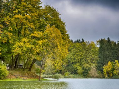 Serene Balıkçı Gölü: Gözlerden uzak bir gölün sakin sularında sakin bir manzara. Etrafı yemyeşil ve bulutlu bir gökyüzü ile çevrili bu resim, mükemmel bir günün özünü yakalar. 