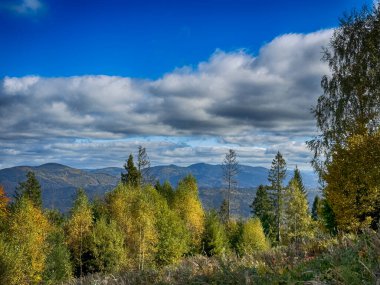 Güneşli havada Karpat Dağları 'nın manzarası. Sonbahar mevsiminde hava mükemmel.