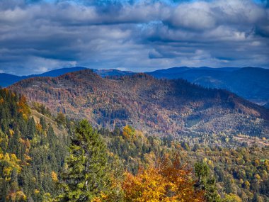 Güneşli havada Karpat Dağları 'nın manzarası. Sonbahar mevsiminde hava mükemmel.