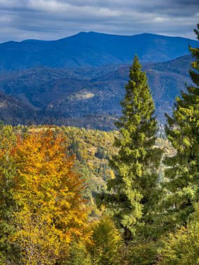 Güneşli havada Karpat Dağları 'nın manzarası. Sonbahar mevsiminde hava mükemmel.