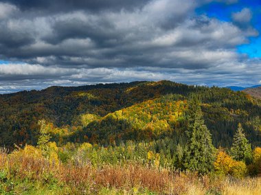 Güneşli havada Karpat Dağları 'nın manzarası. Sonbahar mevsiminde hava mükemmel.