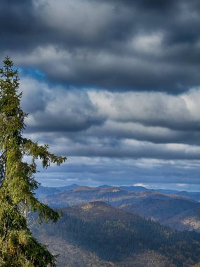 Güneşli havada Karpat Dağları 'nın manzarası. Sonbahar mevsiminde hava mükemmel.