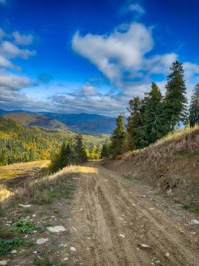 Güneşli havada Karpat Dağları 'nın manzarası. Sonbahar mevsiminde hava mükemmel.