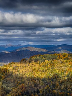 Güneşli havada Karpat Dağları 'nın manzarası. Sonbahar mevsiminde hava mükemmel.