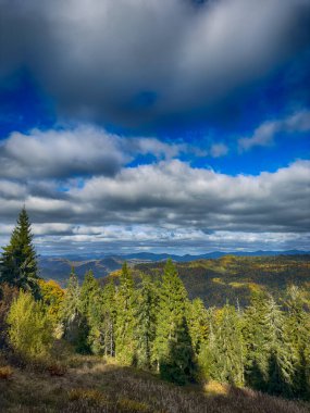 Güneşli havada Karpat Dağları 'nın manzarası. Sonbahar mevsiminde hava mükemmel.