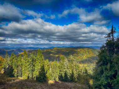 Güneşli havada Karpat Dağları 'nın manzarası. Sonbahar mevsiminde hava mükemmel.