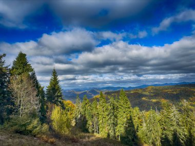 Güneşli havada Karpat Dağları 'nın manzarası. Sonbahar mevsiminde hava mükemmel.
