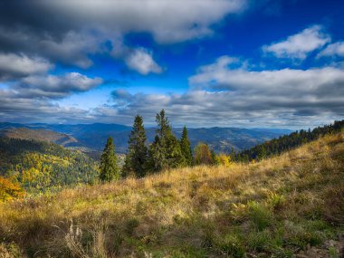 Güneşli havada Karpat Dağları 'nın manzarası. Sonbahar mevsiminde hava mükemmel.