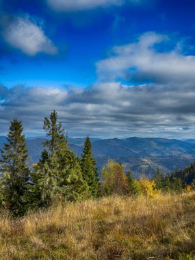 Güneşli havada Karpat Dağları 'nın manzarası. Sonbahar mevsiminde hava mükemmel.