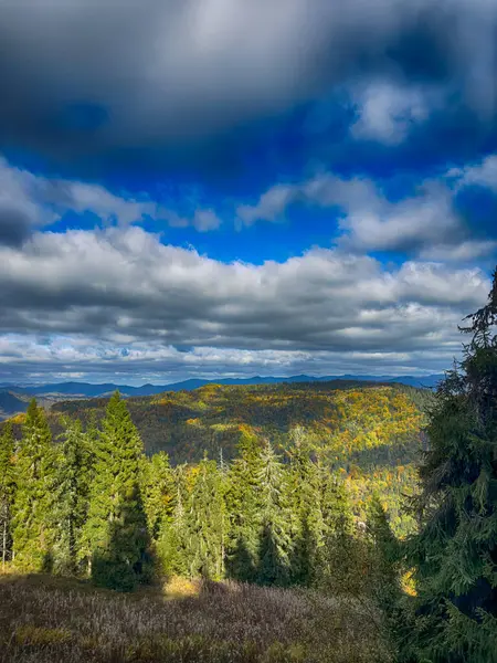 Güneşli havada Karpat Dağları 'nın manzarası. Sonbahar mevsiminde hava mükemmel.