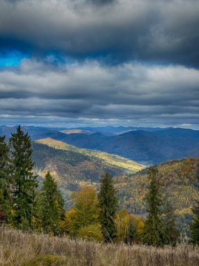 Güneşli havada Karpat Dağları 'nın manzarası. Sonbahar mevsiminde hava mükemmel.
