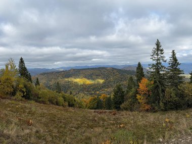 Güneşli havada Karpat Dağları 'nın manzarası. Sonbahar mevsiminde hava mükemmel.