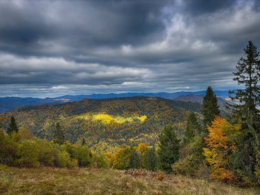 Güneşli havada Karpat Dağları 'nın manzarası. Sonbahar mevsiminde hava mükemmel.