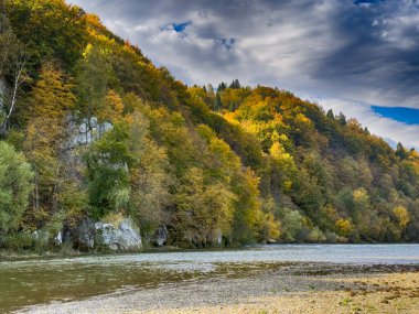 Güneşli havada Karpat Dağları 'nın manzarası. Sonbahar mevsiminde hava mükemmel.
