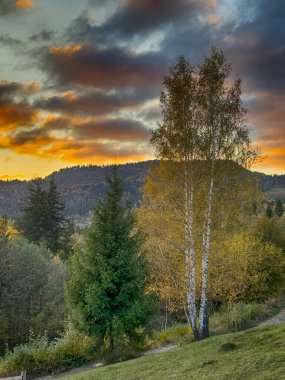 Güneşli havada Karpat Dağları 'nın manzarası. Sonbahar mevsiminde hava mükemmel.