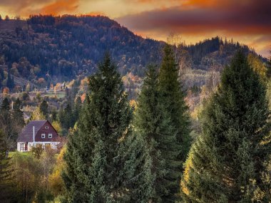 Güneşli havada Karpat Dağları 'nın manzarası. Sonbahar mevsiminde hava mükemmel.