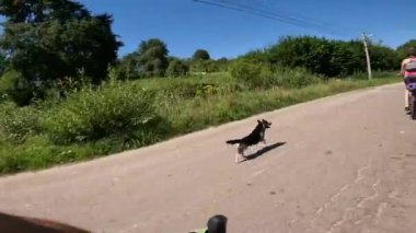 Bahar mevsiminde şehir parkında çakıl bisikleti