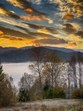 Güneşli havada Karpat Dağları 'nın manzarası. Sonbahar mevsiminde hava mükemmel.