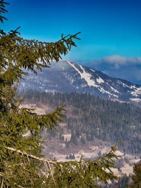 Ukrayna Karpatlar Kış karları