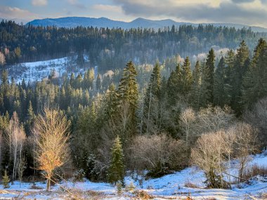 Ukrayna Karpatlar Kış karları
