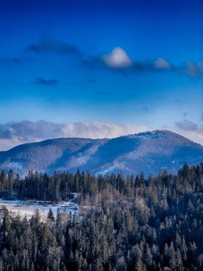 Ukrayna Karpatlar Kış karları