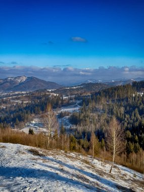 Ukrayna Karpatlar Kış karları