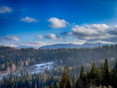 Ukrayna Karpatlar Kış karları