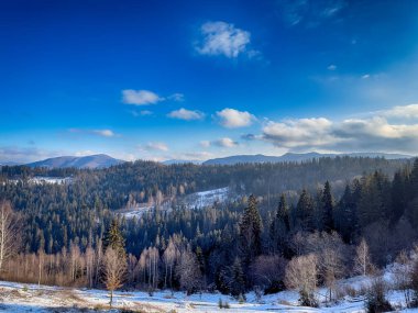 Ukrayna Karpatlar Kış karları