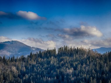 Ukrayna Karpatlar Kış karları