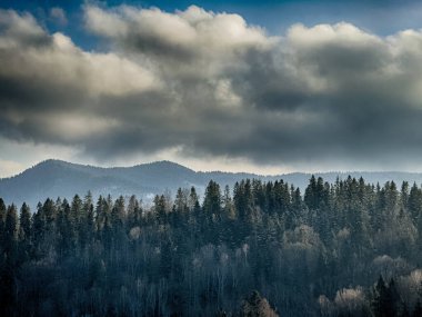 Ukrayna Karpatlar Kış karları