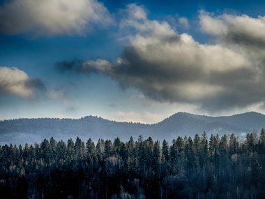 Ukrayna Karpatlar Kış karları