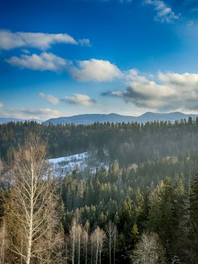 Ukrayna Karpatlar Kış karları