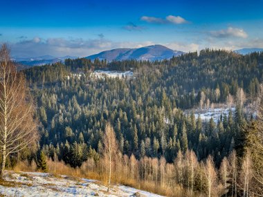 Ukrayna Karpatlar Kış karları