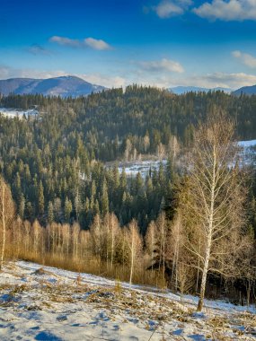 Ukrayna Karpatlar Kış karları