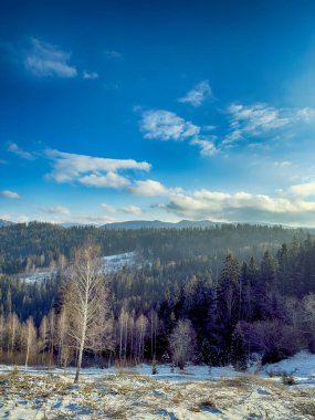 Ukrayna Karpatlar Kış karları