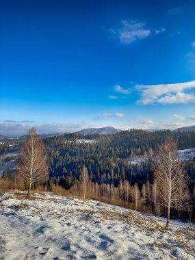 Ukrayna Karpatlar Kış karları