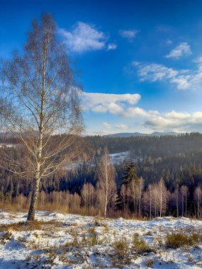 Ukrayna Karpatlar Kış karları