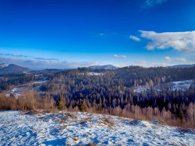 Ukrayna Karpatlar Kış karları