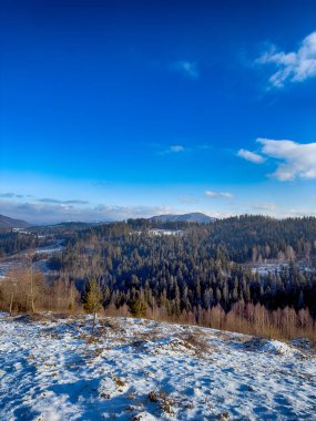 Ukrayna Karpatlar Kış karları