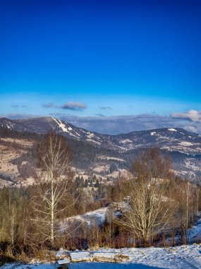 Ukrayna Karpatlar Kış karları