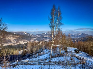 Ukrayna Karpatlar Kış karları